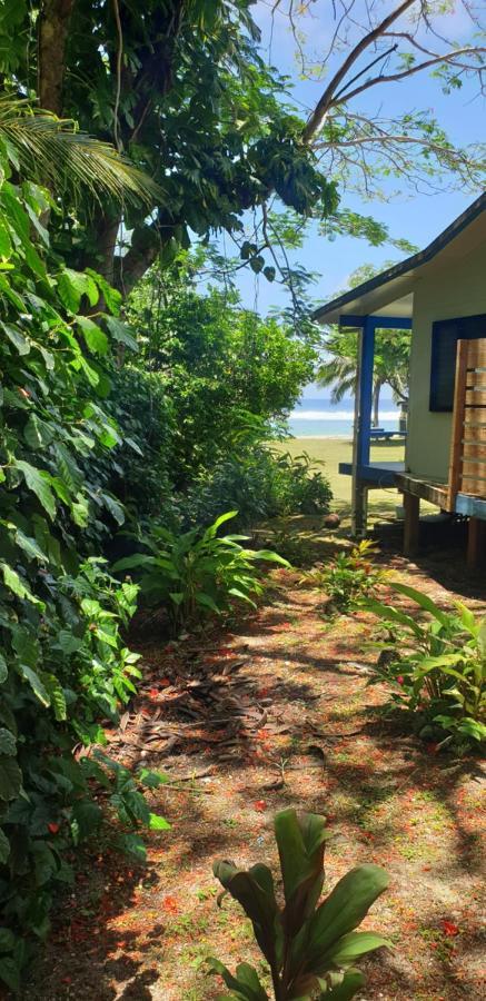Are Tamareni 2Br Beach Cottage Or River Studio Αβαρούα Εξωτερικό φωτογραφία